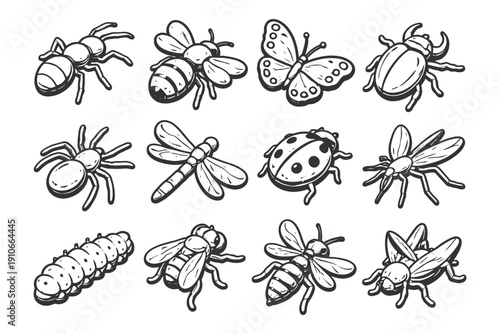 Black and white insect illustrations featuring bees, butterflies, spiders, and more.