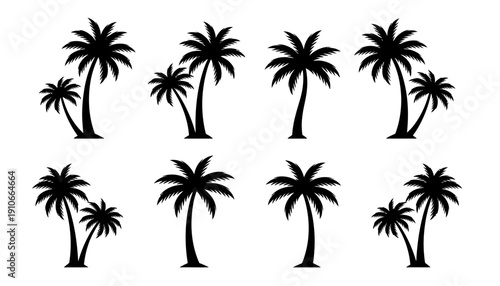 Collection of black palm tree silhouettes on white background.