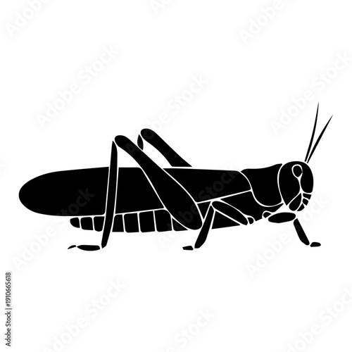 Grasshopper Silhouette