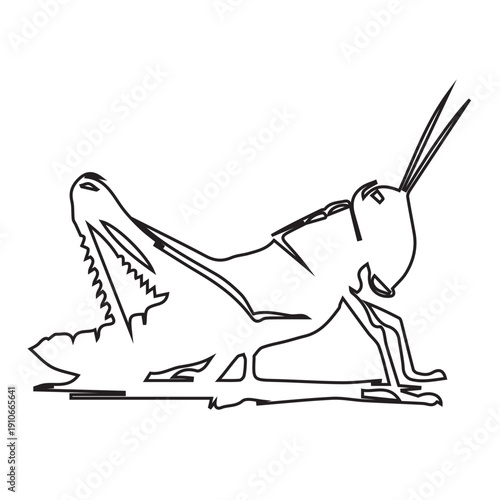 Grasshopper Line Art