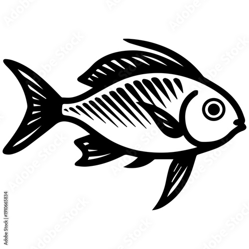 Illustration of a Fish