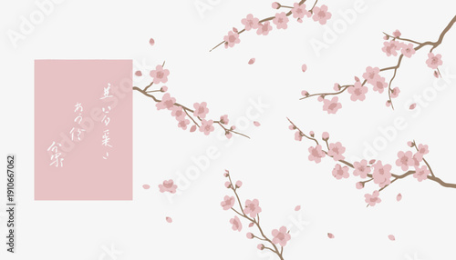 Beautiful pink cherry blossoms on white background with elegant design.