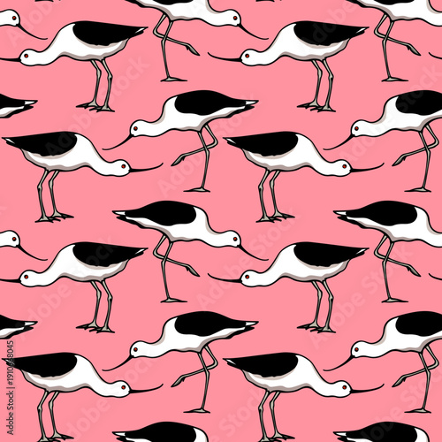 Vector seamless pattern with hand drawn sweet Andean avocets. Beautiful wildlife design elements, ink drawing, perfect for prints and patterns