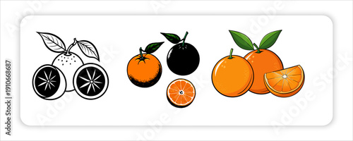 Vibrant Orange Fruit Collection with Slices and Leaves
