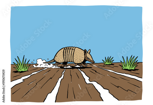 Armadillo racing on the dirt road. Wild south creature graphic print. Texas road trip design artwork. Armadillo vintage illustration. Fast desert mamm