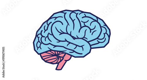 Stylized Human Brain Anatomy Illustration