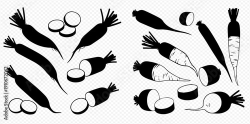 Set of black and white radish silhouettes and outlines, whole and sliced, on a transparent background, perfect for culinary designs and healthy food concepts.