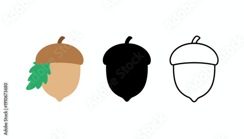 Three acorn illustrations in different styles and colors.
