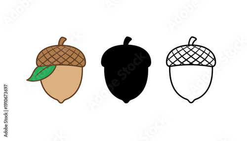 Vector illustrations of acorns in various styles.