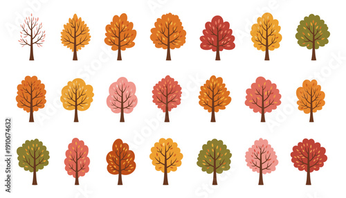Collection of trees in various autumn colors and stages.