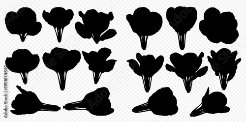 Set of hand-drawn black silhouettes of broccoli florets, isolated on a transparent background, perfect for healthy food designs.