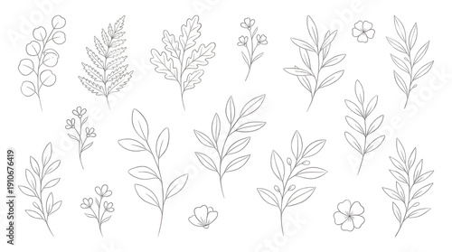 Collection of hand drawn white botanical line on black background plant leaf branch flower