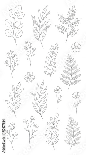 Collection of white line botanical and flowers on black background plant leaf branch