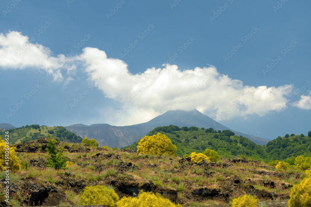 custom made wallpaper toronto digitalMount Etna on a Sunny Day, Sicily