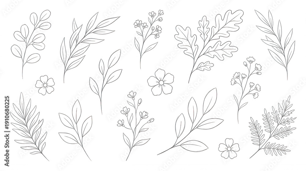 Fototapeta premium White line floral branches and flowers on black background botanical nature plant leaf