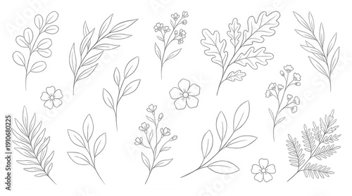 White line floral branches and flowers on black background botanical nature plant leaf