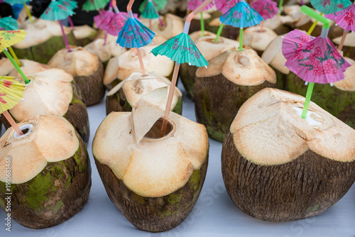 Coconut palm tree seed fruit drink beverages delicious yummy kenya coast