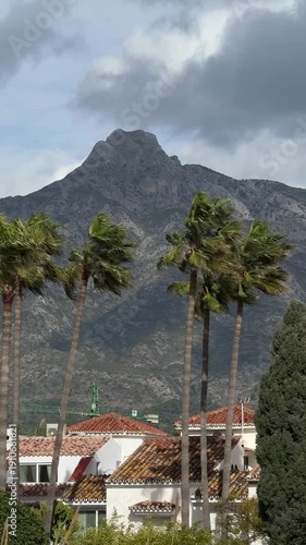La Concha mountain Marbella with palm trees white villas
