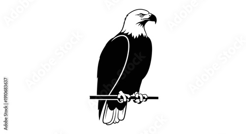 Bald Eagle Perched on Branch Illustration.
