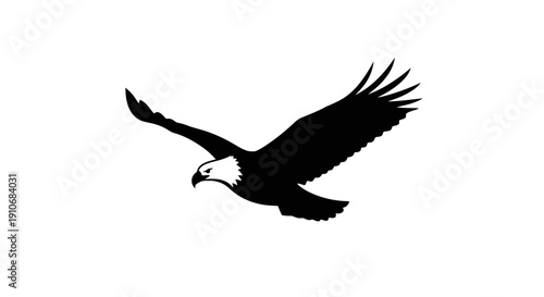 Bald Eagle in Flight Silhouette.
