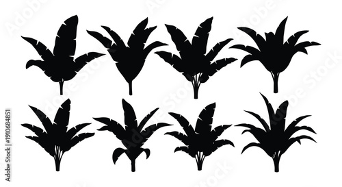 Silhouettes of tropical banana leaves against a white background