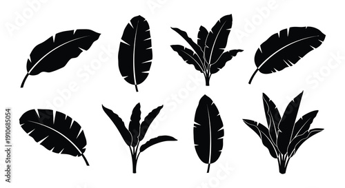 Silhouettes of tropical banana leaves against a white background