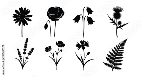 Silhouettes of various flowers and plants in a black and white arrangement