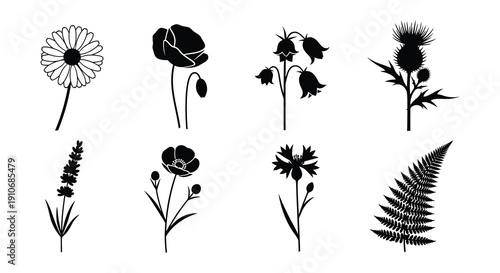 Silhouettes of various flowers and plants in a black and white arrangement