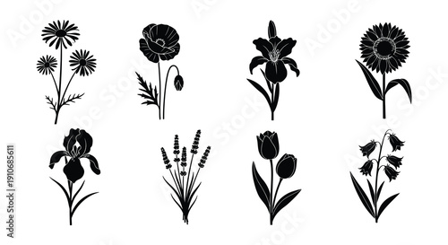 Silhouettes of various flowers and plants in a black and white arrangement