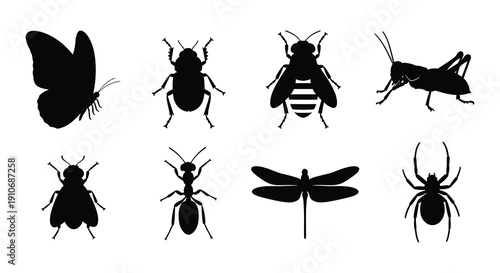 Silhouettes of various insects including butterflies bees and spiders