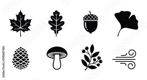 Black silhouettes of various autumn leaves nuts and fungi