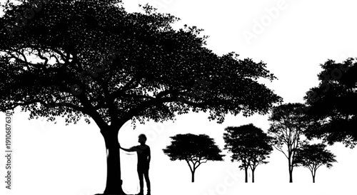 Silhouette of a couple walking under tall trees in the evening