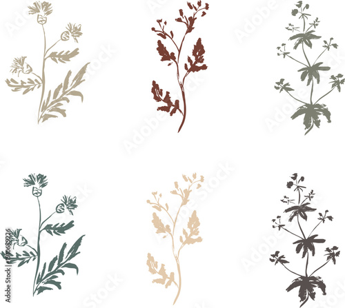 Hand Painted Botanical Silhouette Set – Wildflower Brush Stamps, Rustic Floral Vector Clipart Collection	