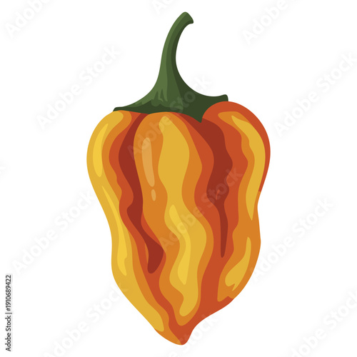 Vector isolated illustration of orange habanero pepper suitable for food ingredient spice chili cooking heat and hot cuisine visual projects