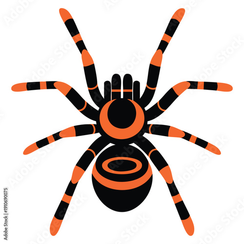 Vector tarantula flat icon developed for several purposes such as web design UI UX presentations print materials and educational or wildlife themed projects