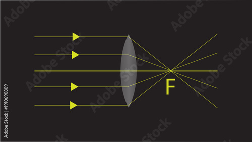 Physics Diagram of Light Rays Converging Through a Convex Lens to a Focal Point
