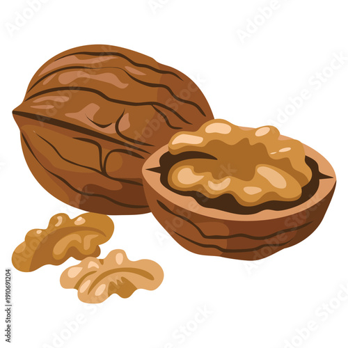 Whole walnut half a walnut and a walnut kernel vector illustration walnut icon isolated on white background ideal for food nutrition organic ingredient and healthy eating designs