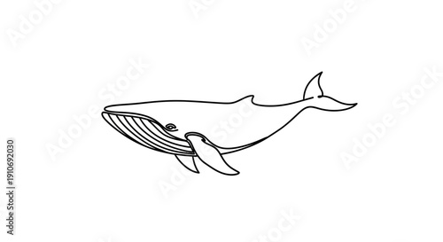 Simple black and white line art illustration of a whale swimming, showcasing its distinct body shape and baleen plates.