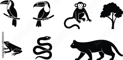 Rainforest animal silhouettes with toucan, monkey, frog, snake, jaguar, and tropical tree wildlife illustration design vector
