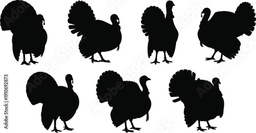 Seven turkey bird silhouettes in different poses, black animal shapes isolated, Thanksgiving wildlife illustration, poultry design collection artwork