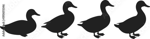 Silhouette ducks in motion sequence, flying bird shapes, wildlife illustration, animal posture progression, vector design for nature themes