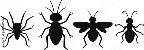 Silhouettes of spider, cockroach, fly, and ant insects, isolated arthropod vector icons for biology, entomology education