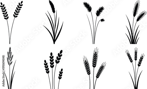 Stylized cereal grain silhouettes, wheat barley rye oats agricultural plants, black vector icons for farming, botany, food design