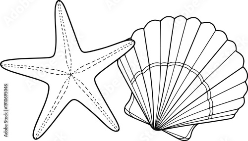 Starfish and scallop seashell line art for minimalist marine life and coastal summer beach design – Black and White Vector Illustration