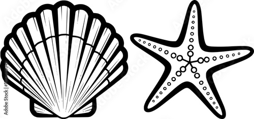 Starfish and scallop seashell line art for minimalist marine life and coastal summer beach design – Black and White Vector Illustration