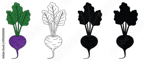 Beet icon set vegetable. Beetroot vector icon. Eco agriculture. Beetroot color vector illustration.