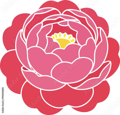 Pink peony flower illustration. Stylized rose or camellia blossom on white background