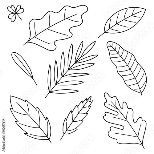 Hand-drawn doodle set of leaves on a white background.
