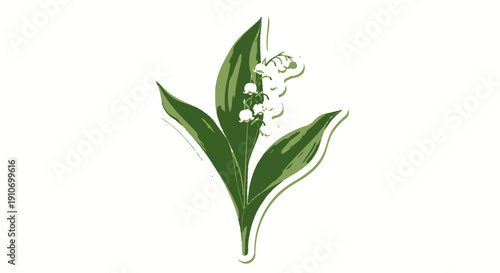 Lily of the valley flower illustration with white blooms and green leaves.