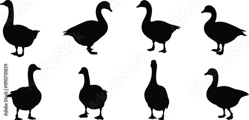 Goose silhouette collection illustration showing walking and standing farm bird poses, black and white waterfowl vector set for logo, icon, agriculture, and rural design